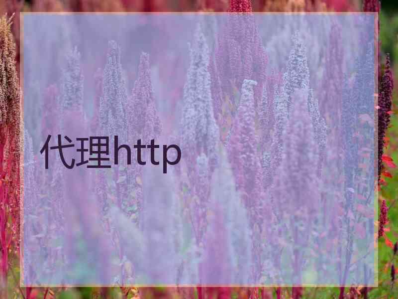 代理http